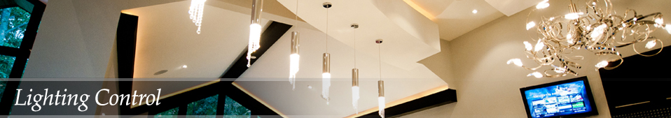 light-new-banner