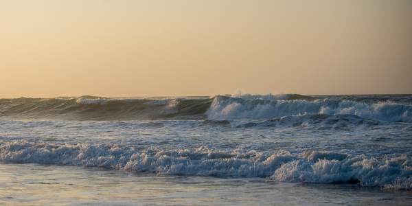 Neuwave Systems coming to morehead city
