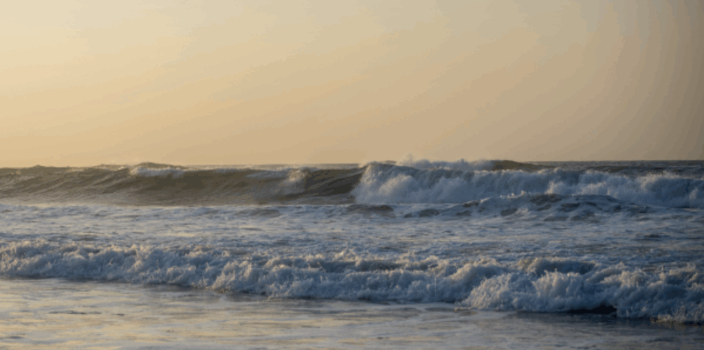 We’re Coming to the Morehead City & Atlantic Beach Areas!